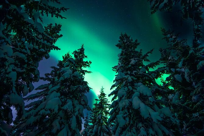 Private Aurora Hunting with Professional Photographer from Alta - Chasing Clear Skies Around Alta