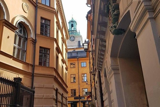 Private Car Tour of Stockholm with a Live guide, including the Vasa museum. - Who gets the most from this tour?