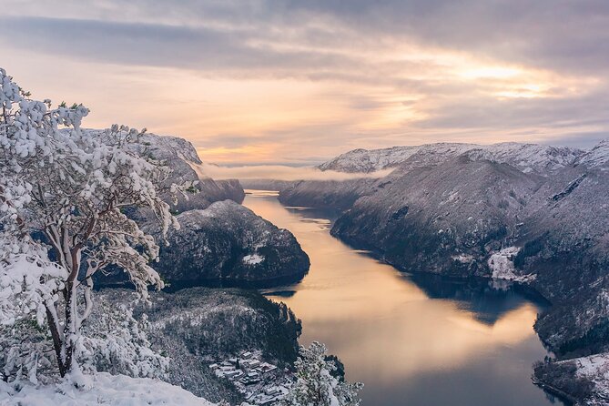 Private Cruise: Mostraumen by Zodiac or Lux Pontoon Boat - Choosing between the pontoon and Zodiac