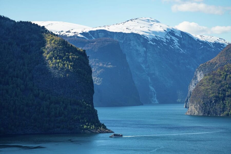 Private Day Tour- Flam Railway & Fjord Cruise From Bergen - The train connection through Myrdal