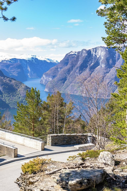 Private Day Tour- Flam Railway & Fjord Cruise From Bergen - Gudvangen and the long return to Bergen