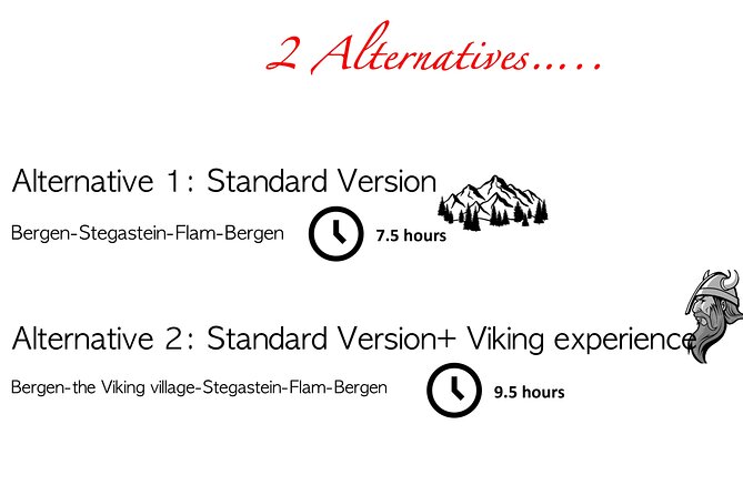 Private Day Tour to Flam and Stegastein - Stegastein viewpoint and Aurlandsfjord