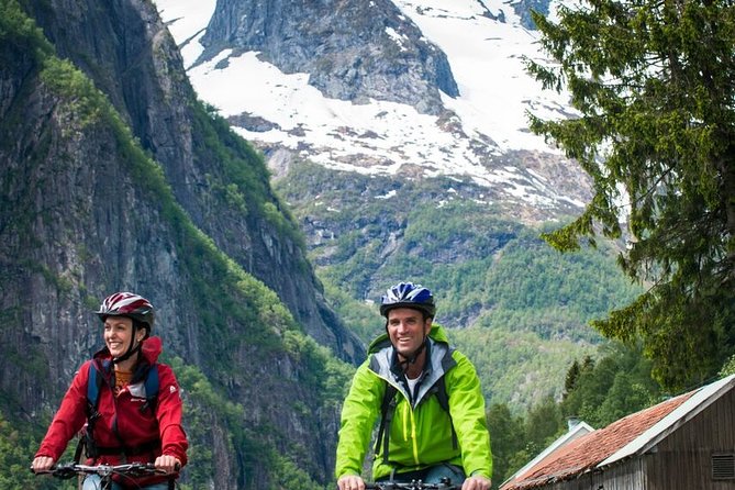 Private Full-Day Round Trip from Oslo to Sognefjord via Flåm Railway - The Flåm Railway from Myrdal