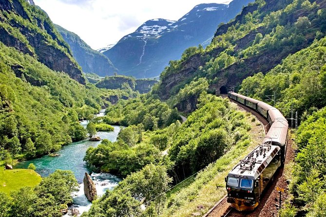 Private Full-Day Round Trip from Oslo to Sognefjord via Flåm Railway - What $1,177.58 per person buys you