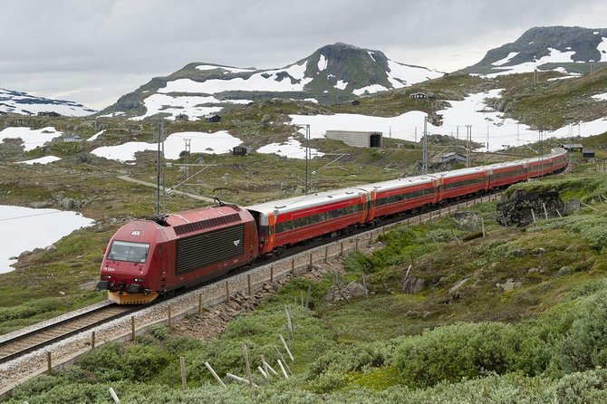 Private guided, Bergen to Oslo - Nærøyfjord Cruise & Flåm Railway - Why this Bergen to Oslo trip is more than a transfer