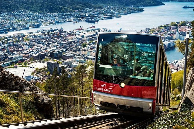 Private Guided City Sightseeing - Bergens Top Attractions - A fast way to understand Bergen