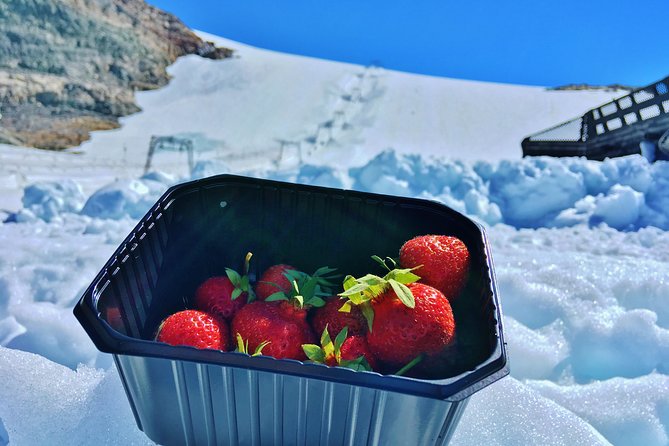 PRIVATE GUIDED TOUR: Folgefonna Glacier roundtrip from Bergen, 8 hours - Hardangerfjord adds a real ferry crossing