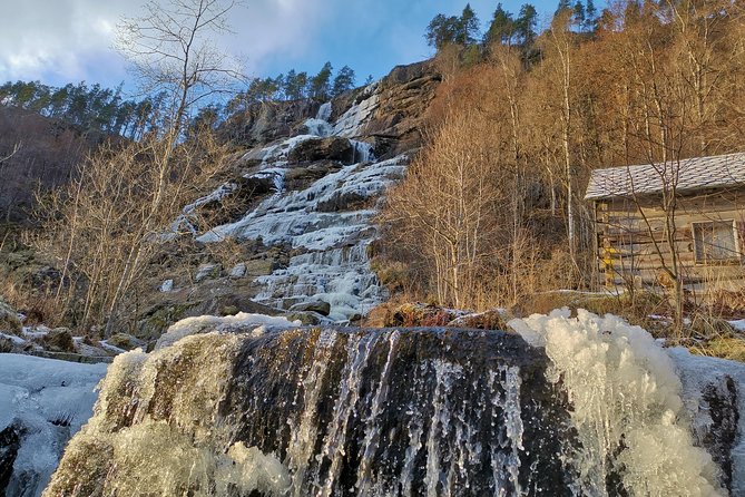 PRIVATE GUIDED TOUR: Norway's Highlights – Viking Special, 11-12 hours – WINTER - Gudvangen and the Njardarheimr Viking village
