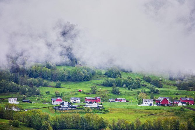 PRIVATE GUIDED TOUR: Norway's Highlights – Viking Special, 11-12 hours – WINTER - Flåm, Stegastein, and the route back to Bergen