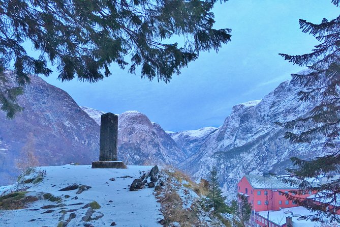PRIVATE GUIDED TOUR: Norway's Highlights – Viking Special, 11-12 hours – WINTER - Is $764.12 per person a fair price?