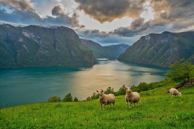 PRIVATE GUIDED TOUR: Norway's Highlights–Viking Special, 11 h - Tvindefossen gives you the first close waterfall