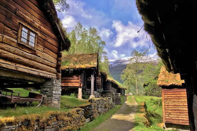 PRIVATE GUIDED TOUR: Norway's Highlights–Viking Special, 11 h - Flåm is useful, but expect a busy stop