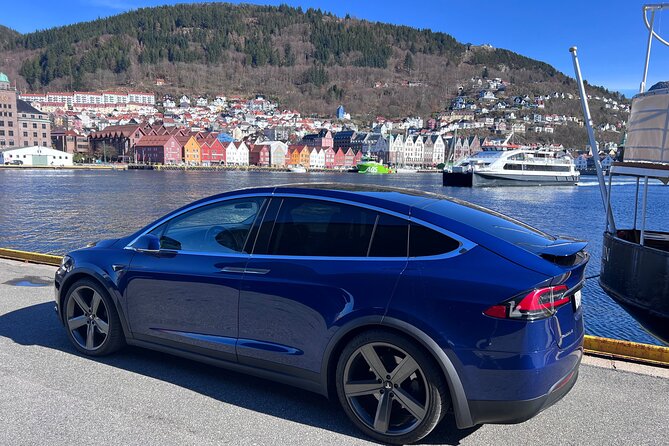 Private Guided Tour of Bergen and the Best of Norwegian Fjords - Steinstøberget and summer apple trees