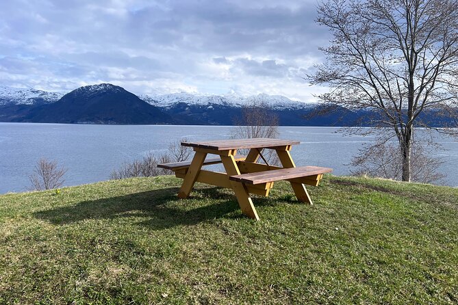 Private Guided Tour of Bergen and the Best of Norwegian Fjords - Omaholmen and the first fjord views