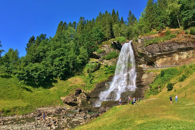 PRIVATE GUIDED TOUR: Queen of the Fjords - tour from Bergen, 6 hours - Hardangerfjord Views and the Vangdal Carvings