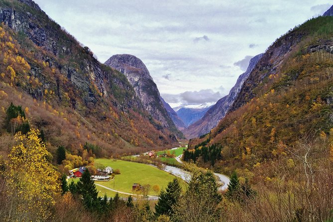 PRIVATE GUIDED TOUR: World Heritage Fjord Landscape – Viking Special – from Flåm - One hour at Njardarheimr Viking Village