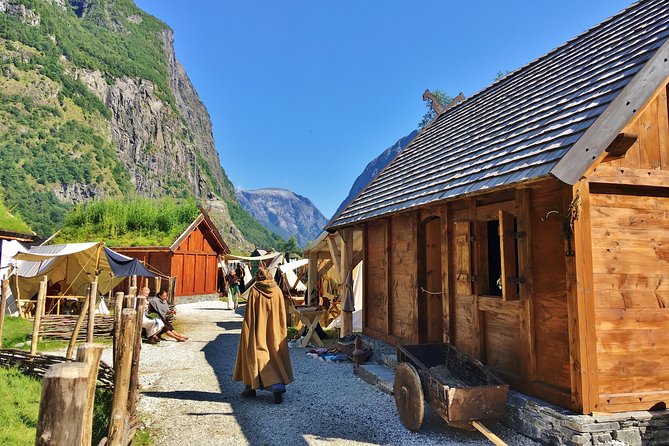 PRIVATE GUIDED TOUR: World Heritage Fjord Landscape – Viking Special – from Flåm - Price, timing, and practical value