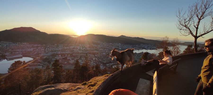 Private hiking tour Bergen mountains like a local - A lake, a cabin, and the feel of local mountain life