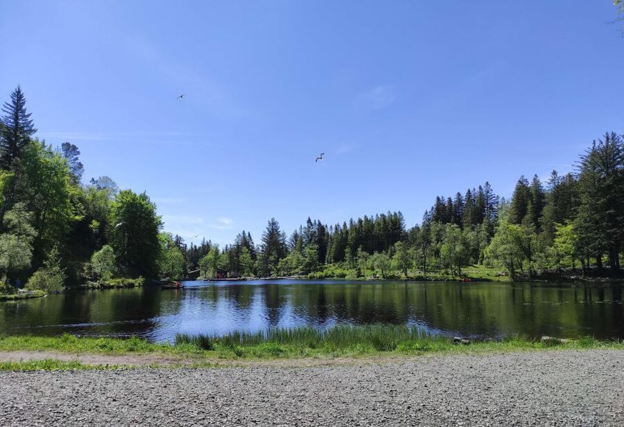 Private hiking tour Bergen mountains like a local - What the three-hour schedule feels like