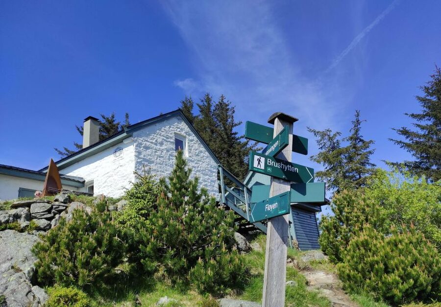 Private hiking tour Bergen mountains like a local - How the private format affects value