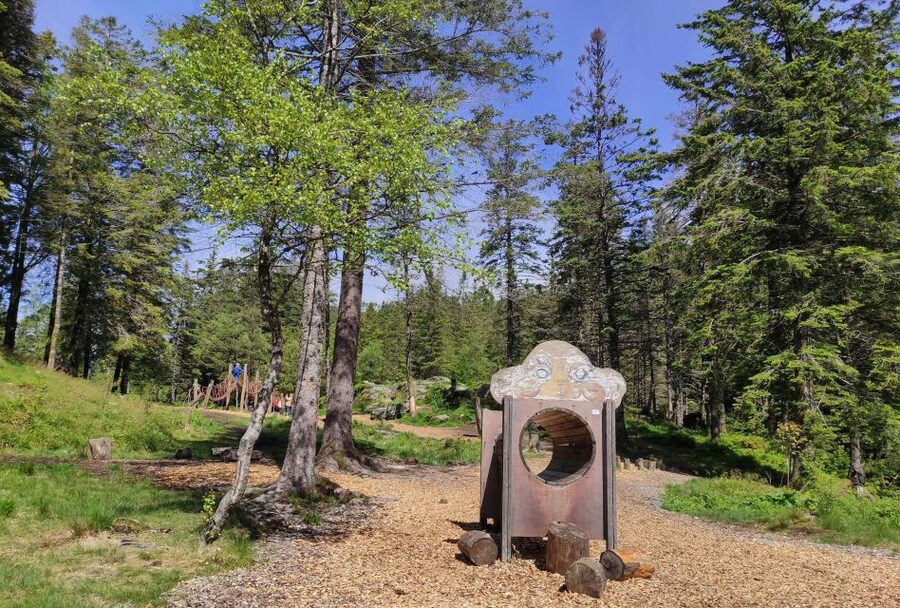 Private hiking tour Bergen mountains like a local - Who should book this mountain walk?