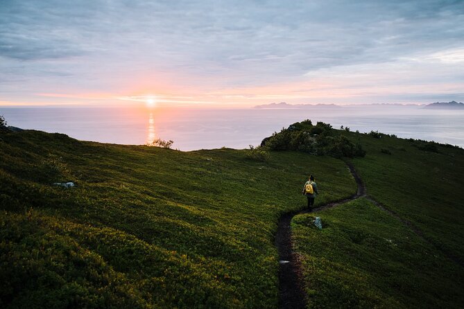 Private Midnight Tour To Gimsøya - Gimsøya after 8 pm, when daylight refuses to leave