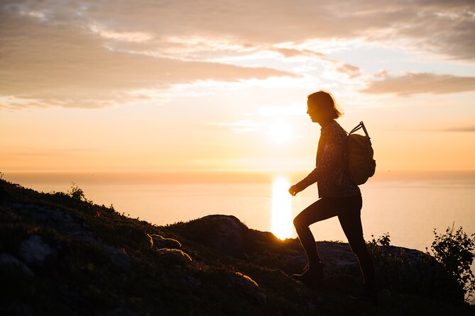 Private Midnight Tour To Gimsøya - Sauna, horseback riding, or simply doing less