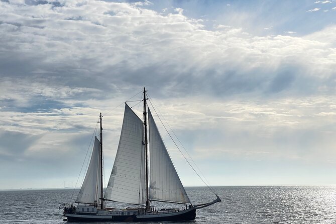 Private sightseeing in a Volvo XC 90 All inclusive museum/guiding - The Kon-Tiki Museum and Thor Heyerdahl’s bold experiment