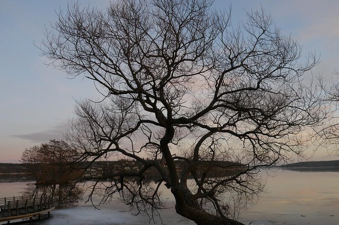 Private Sigtuna Tour from Stockholm - Oldest Town of Sweden - Why Sigtuna makes a strong half-day from Stockholm