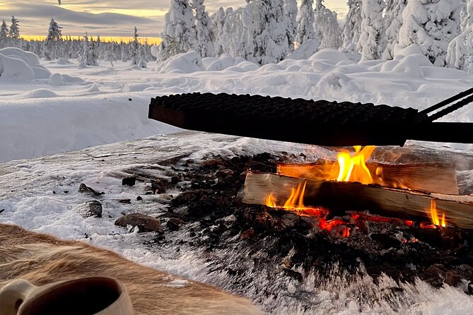 Private snowmobile day tours - Is the Vuollerim snowmobile tour worth booking?