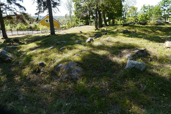 Private Tour: 3h Viking History from Stockholm to Runic Kingdom - Arkils tingstad and Viking law