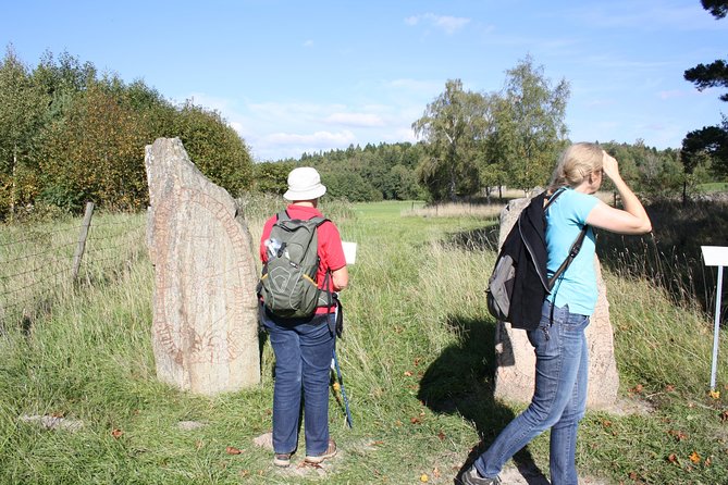 Private Tour: 3h Viking History from Stockholm to Runic Kingdom - Is $431.94 per person good value?