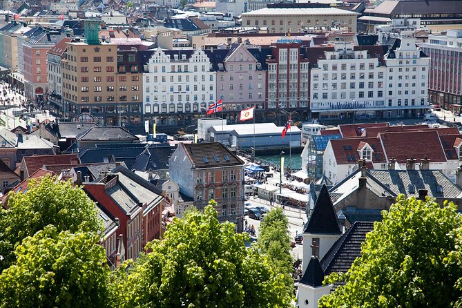 PRIVATE TOUR: Bergen city sightseeing, 3 hours - What the private vehicle changes