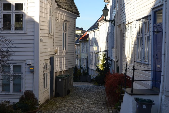 PRIVATE TOUR: Bergen city sightseeing, 3 hours - Price and value for groups of seven