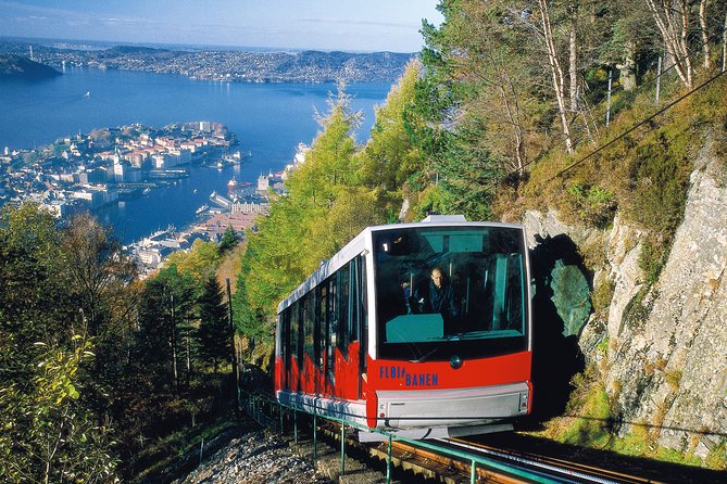 PRIVATE TOUR: Bergen city sightseeing, 5 hours - Old Bergen Museum: a town inside a town