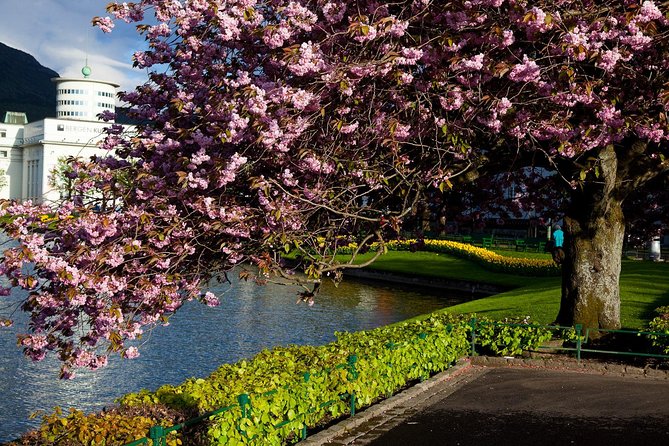 PRIVATE TOUR: Bergen city sightseeing, 5 hours - Starting with Mount Fløyen and the funicular