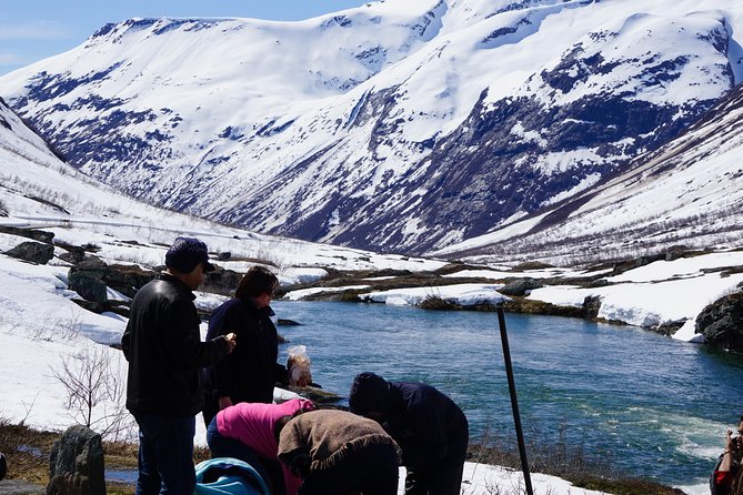 Private tour Geiranger and Glaciers 1 to 15 people - Seeing Geirangerfjord from the waterline to Dalsnibba