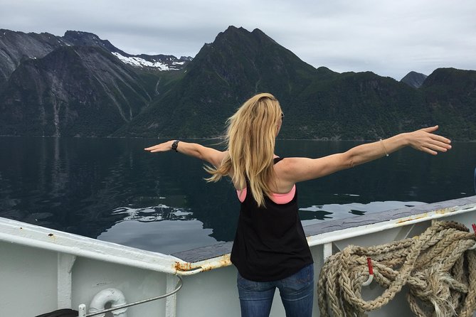 Private tour Geiranger and Glaciers 1 to 15 people - What the private format is worth at $2,123.77