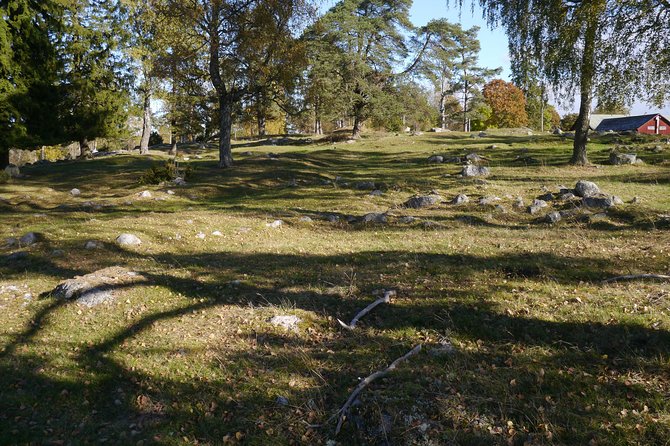 Private Tour: Swedish History Day Trip to World Heritage Candidate Markim-Orkesta from Stockholm - Arkils tingstad and the Viking meeting place