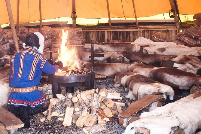 Reindeer Feeding and Sami Culture Including Lunch from Tromso - Cold-weather planning that matters
