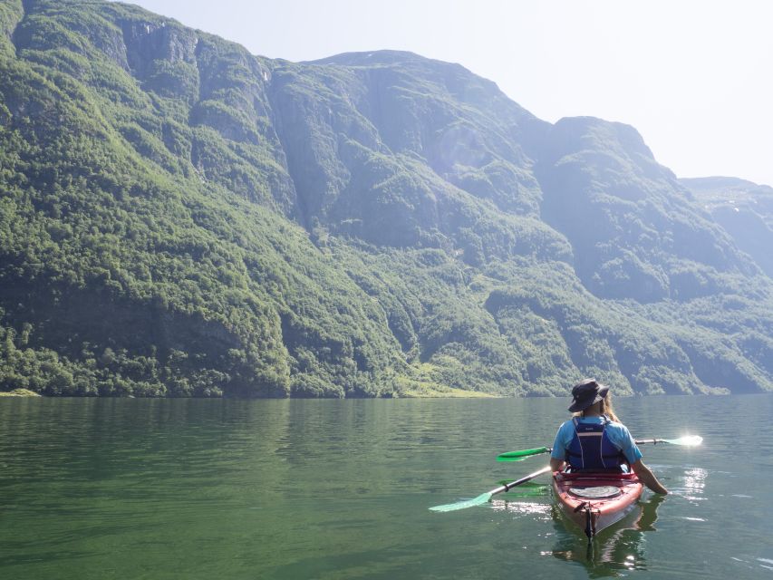 Rental - Sea Kayak - Is $50 a fair price for a full day?