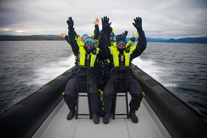 RIB Expedition to Seiland National Park - 3.5h - Mountains, glaciers, and Seiland’s unusual plant life