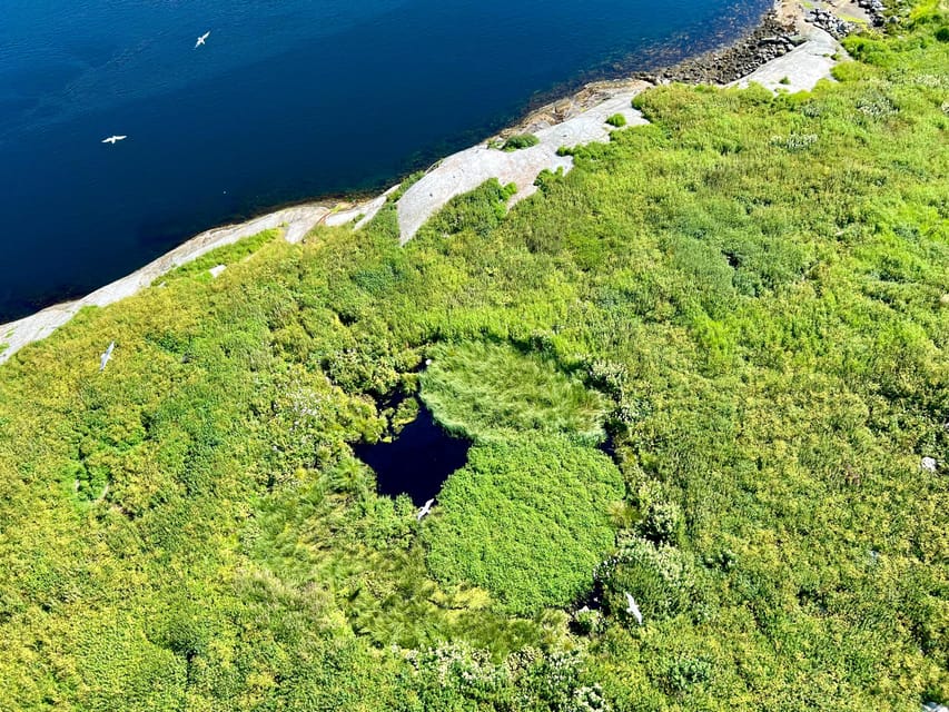 Saltstraumen: Arctic Adventure and Scenic Journey - Key points to know before you book