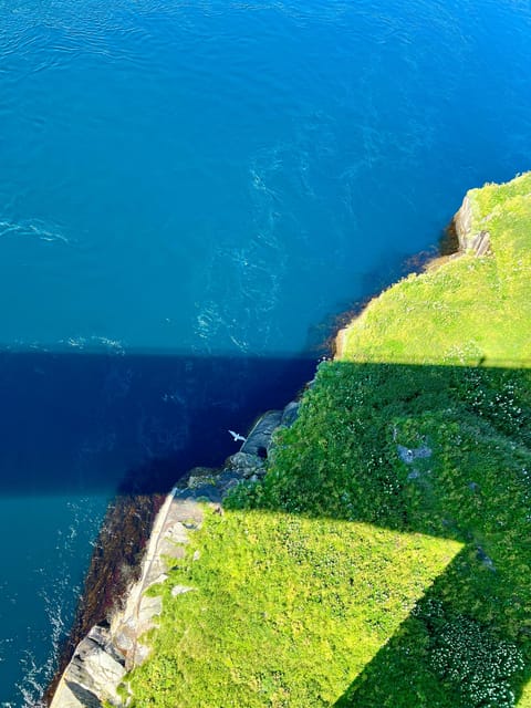 Saltstraumen: Arctic Adventure and Scenic Journey - Norwegian snacks and a personal touch