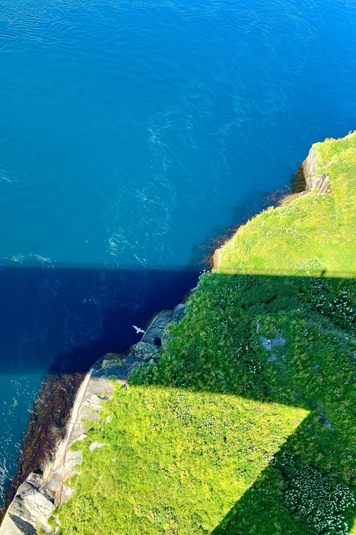 Saltstraumen: Arctic Adventure and Scenic Journey - How the $206 price works for a small group