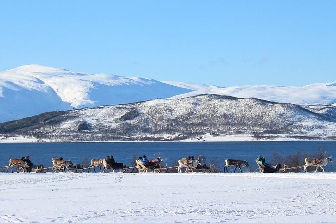 Sami Culture and Short Reindeer Sledding from Tromso - Weather Can Change the Whole Experience
