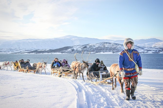 Sami Culture and Short Reindeer Sledding from Tromso - Hearing Joik Around the Fire