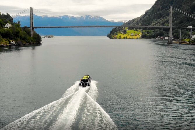 Scenic RIB adventure to Hardangerfjord & Fyksesund from Øystese - A fast way to meet Hardangerfjord