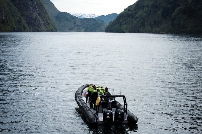 Scenic RIB adventure to Hardangerfjord & Fyksesund from Øystese - Price, timing, and transport value
