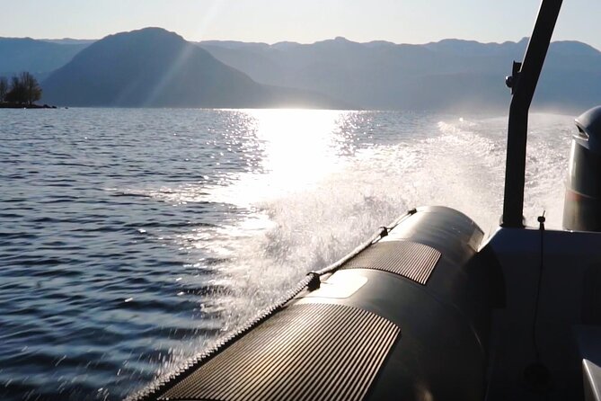 Scenic RIB adventure to Hardangerfjord & Fyksesund from Øystese - Should you book the Hardangerfjord RIB adventure?